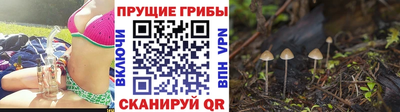 Купить закладки  Нижний Ломов  Галлюциногенные грибы ЛСД 