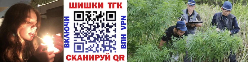 Купить где  Нижний Ломов  Канабис SATIVA & INDICA 